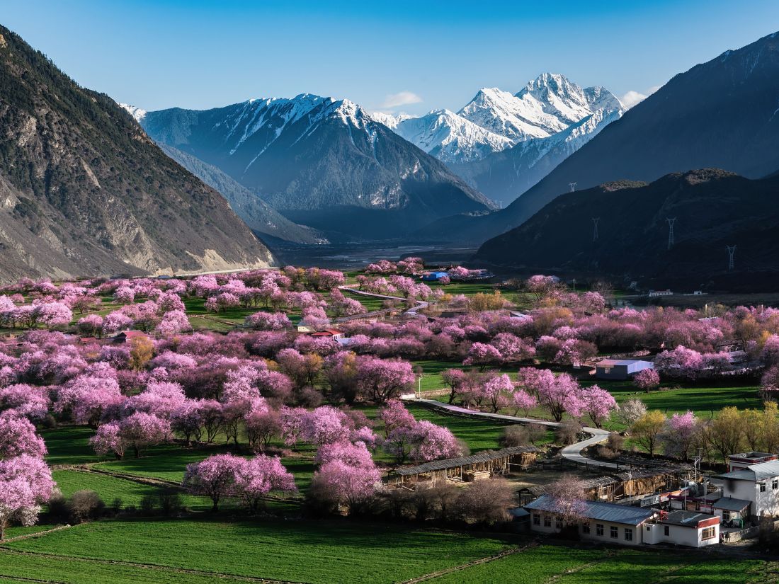 Asia